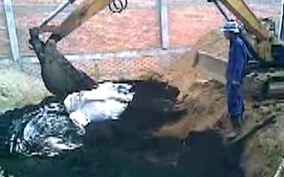 Công ty Sao Mai Xanh thừa nhận có chôn chất thải dưới kho